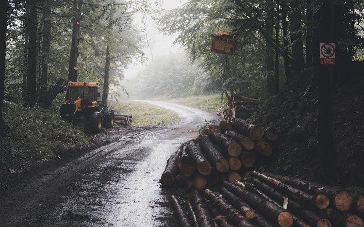 Forestry management operations.