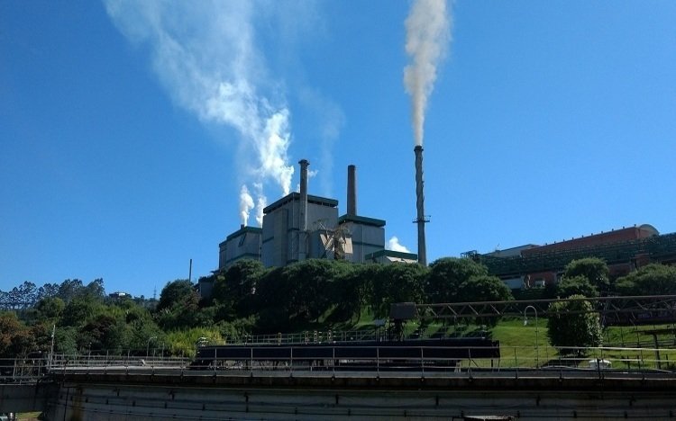 Pulp and paper industrial site.